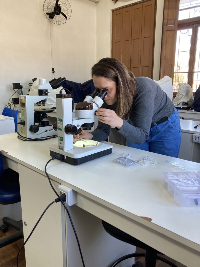 Making Discoveries Deep Within the Earth’s Mantle – in the Middle of Lectures and Student Supervision? All in a Day’s Work! An Interview with Geochemist Dr. Fernanda Gervasoni