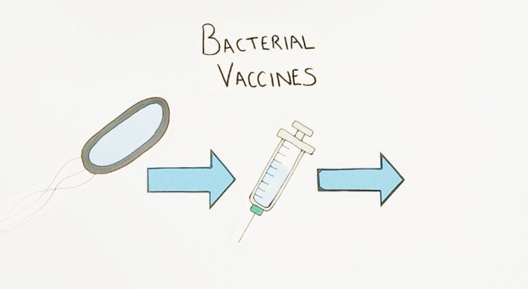 In Search of Bacterial Vaccines to Combat Antibiotic Resistance